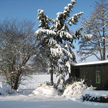 Ferienhaus Uchte / Darlaten Villa Eksteriør billede